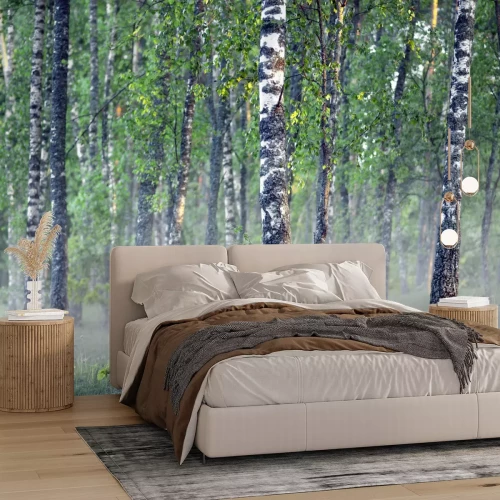 Fototapete Birken im Nebel