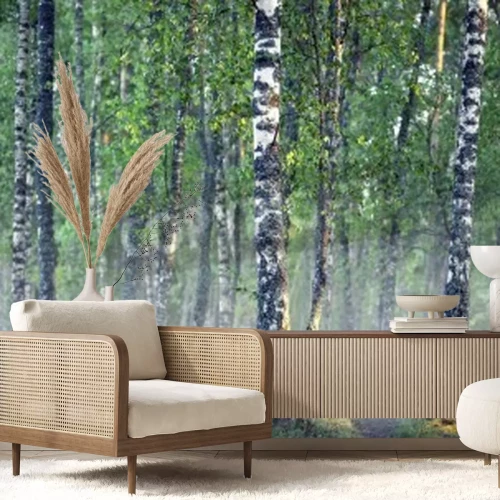 Fototapete Birken im Nebel