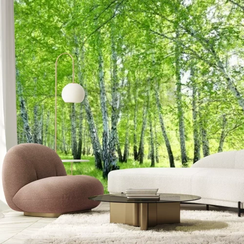 Fototapete Birken schwarz-weiße mit Blättern