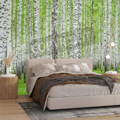 Fototapete Birkenwald schwarz-weiße