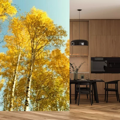 Fototapete Herbstbirken vor dem Hintergrund des Himmels