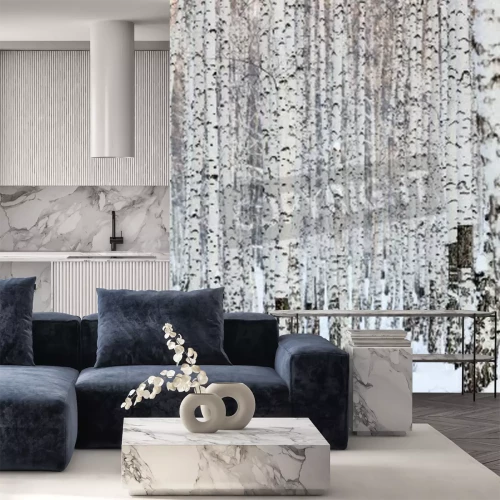 Fototapete Birken in der Winterzeit