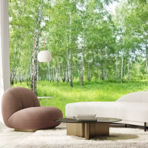 Fototapete Birken im Sommer