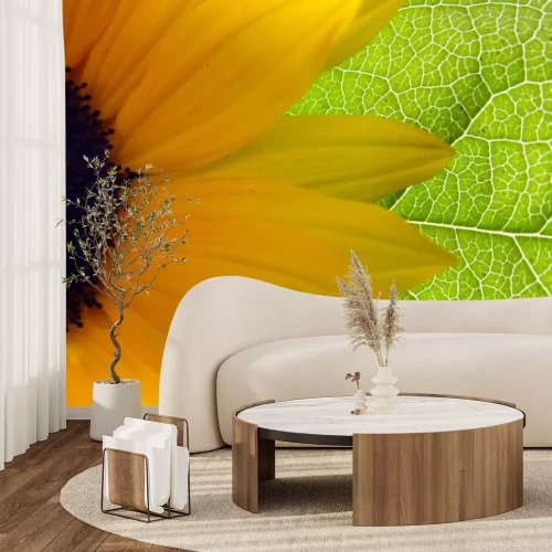 Sticker Sonnenblume mit einem geäderten Blatt