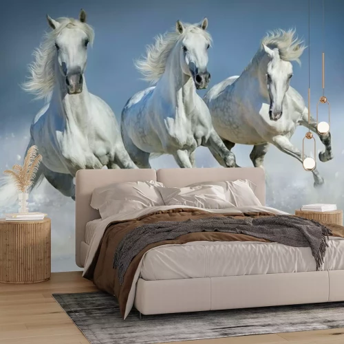Fototapete Weiße Pferde galoppieren im Schnee