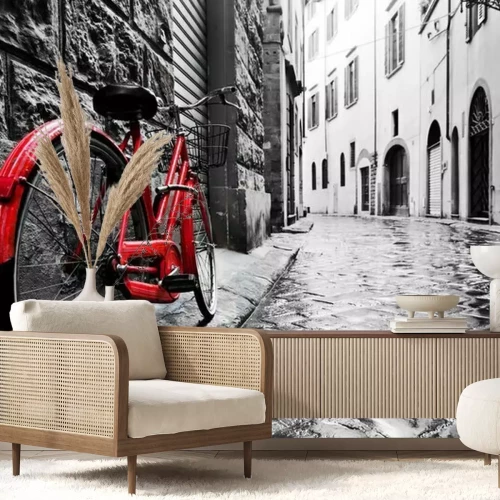 Fototapete Ein rotes Vintage-Fahrrad vor dem Hintergrund einer schwarz-weißen Stadt