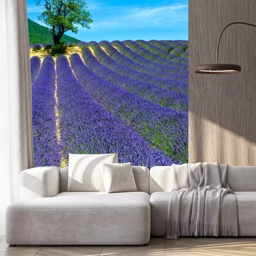 Sticker Lavendelfelder mit blauem Himmel