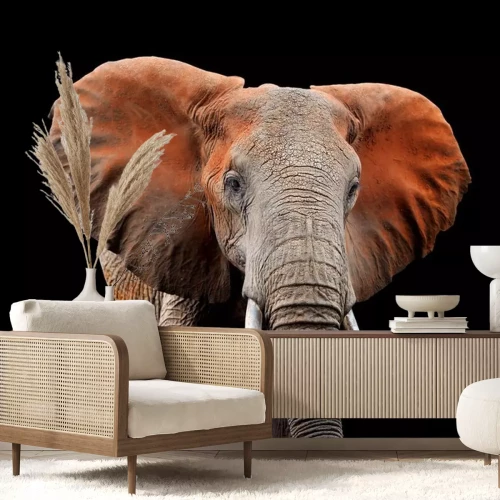 Sticker Elefant 3D auf dunklem Hintergrund