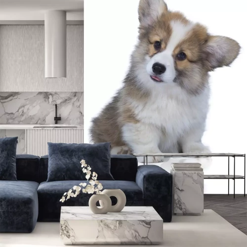 Sticker Hunde flauschiger Welpe mit leicht heraushängender Zunge