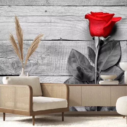 Fototapete Rot Eine Rose vor rauen Holzbrettern
