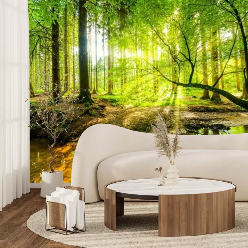 Fototapete Wald Panorama mit Bach und Sonnenstrahlen