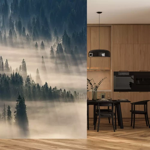 Fototapete Nadelbäume im Nebel