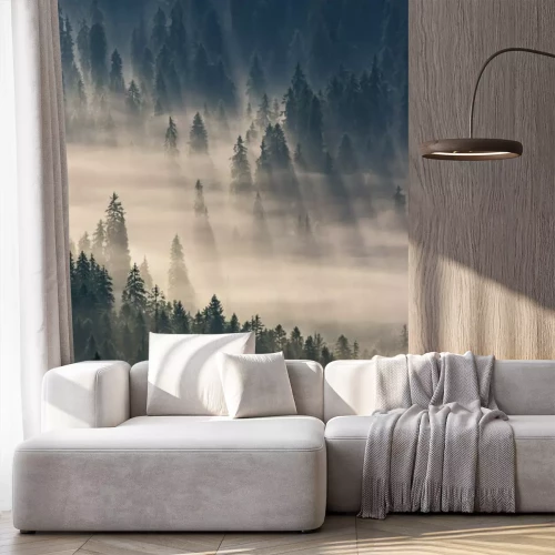 Fototapete Nadelbäume im Nebel