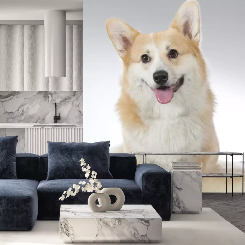 Sticker Hunde Biskuit-Corgi mit rosa Zunge und braunen Augen