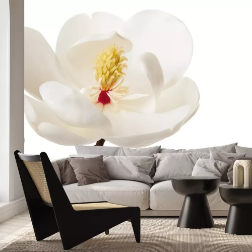 Sticker Magnolie mit sichtbaren Staubgefäßen