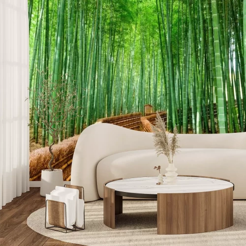 Fototapete Japan Bambuswald