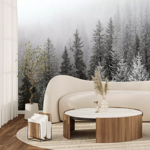Fototapete Ein nebliger Winterwald mit schneebedeckten Fichten
