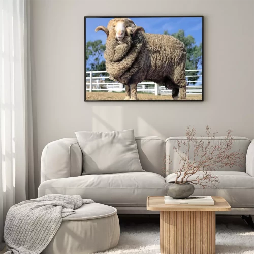 Visualisierung des Produkts