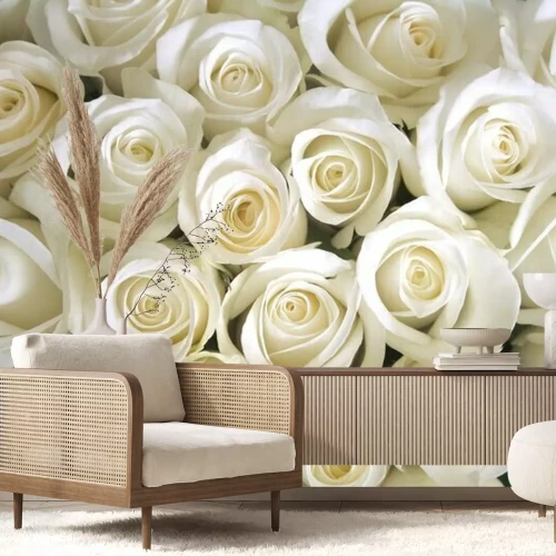 Fototapete Weiße Rosen Hintergrund