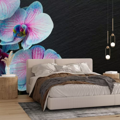 Fototapete Bündel violette Orchideen