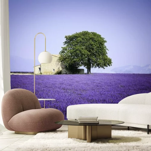 Fototapete Steinhaus inmitten von Lavendel