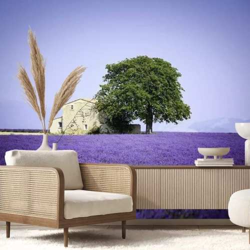 Sticker Steinhaus inmitten von Lavendel