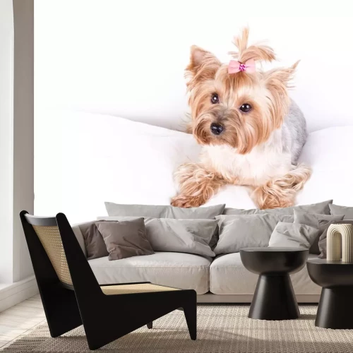 Sticker Hund Familienmitglied Yorkshire mit rosa Schleife