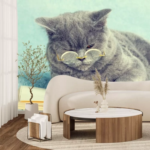 Sticker Katzen konzentrierte Katze mit Brille neben einem Buch