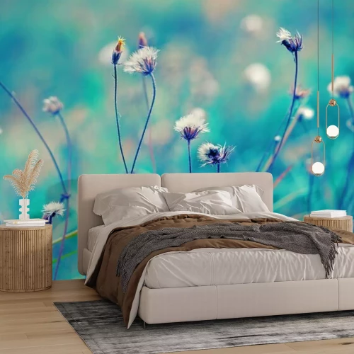 Fototapete Feldpflanzen im Gras