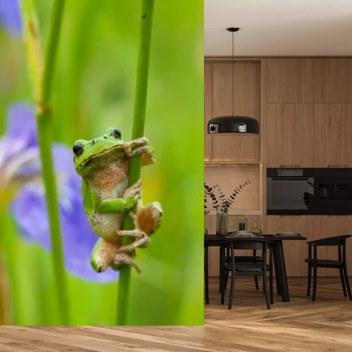 Fototapete Grüner Frosch hält sich am Gras fest