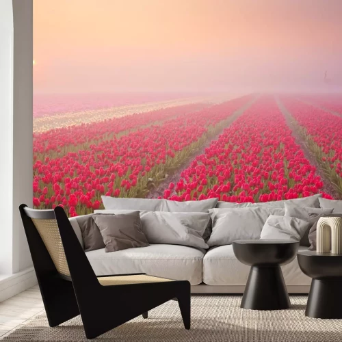 Sticker Rote Tulpenplantage