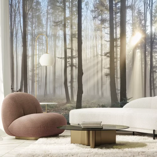 Fototapete Sonnenstrahlen durch den Nebelwald