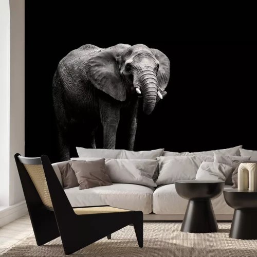 Sticker Elefant auf dunklem Hintergrund