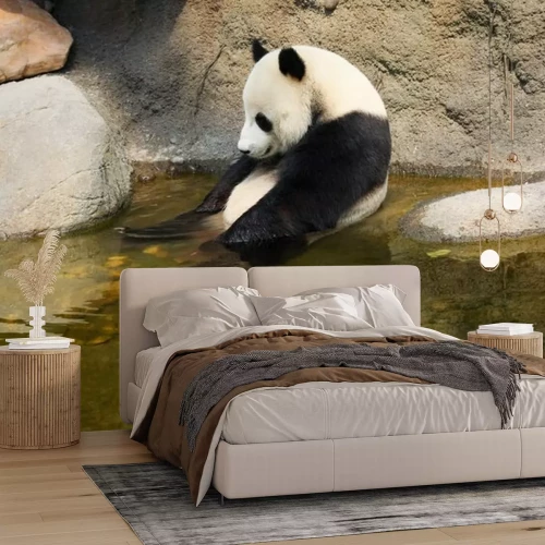 Sticker Panda 3d im Wasser sitzend