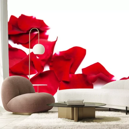 Sticker Rote Rosenblüten auf weißem Hintergrund