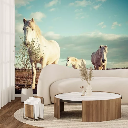 Sticker Eine Pferdeherde auf einer Wiese bei Sonnenuntergang