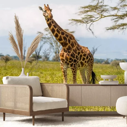 Sticker Giraffe auf grüner Wiese