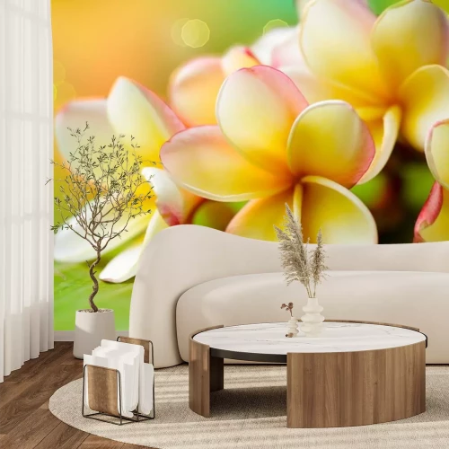 Sticker Weiße Blumen in einer Nahaufnahme