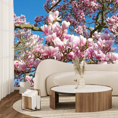 Sticker Magnolie in voller Blüte