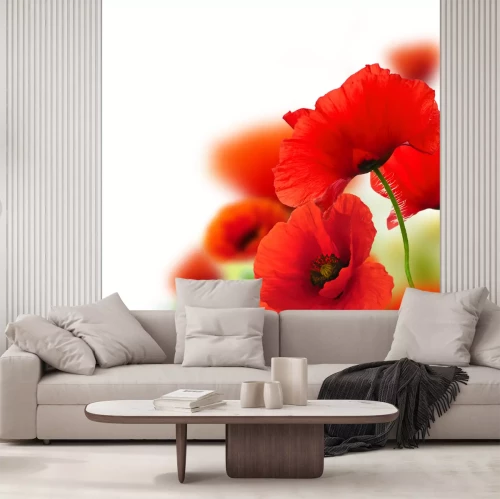 Sticker Rote Feldblumen auf weißem Hintergrund