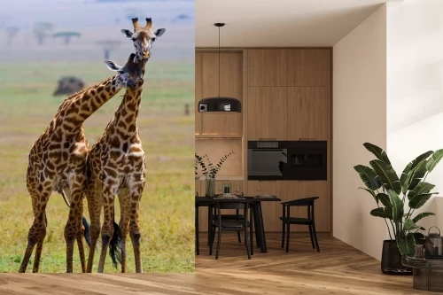 Visualisierung des Produkts