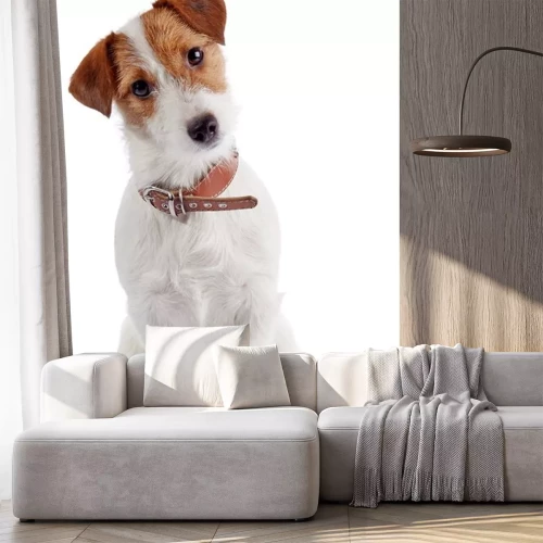 Sticker Hund Familienmitglied mit Lederhalsband