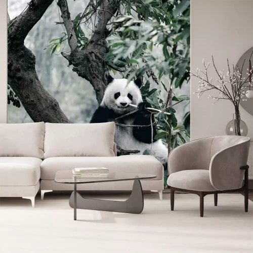 Sticker Panda auf Baum