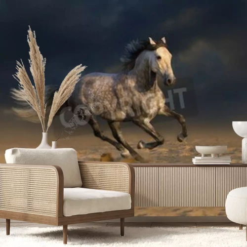 Fototapete Pferd in der Wüste