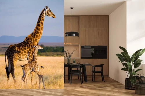 Visualisierung des Produkts