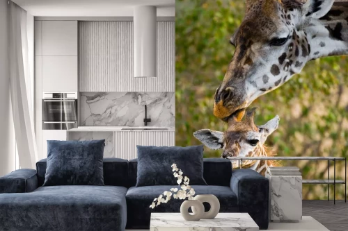 Visualisierung des Produkts