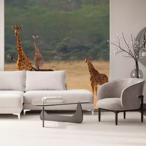 Sticker Giraffen in der Savanne spazierend