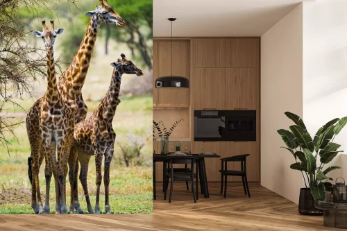 Visualisierung des Produkts