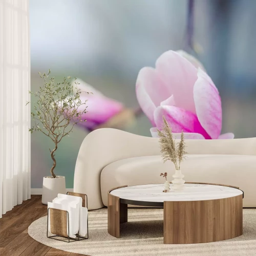 Sticker Zwei Magnolien auf einem unscharfen Hintergrund