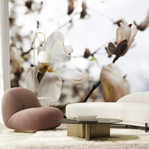 Sticker Magnolien auf dem Hintergrund eines hellen Himmels